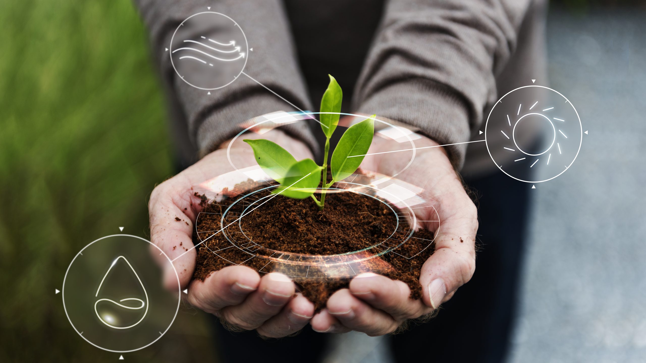 Smart agriculture IoT with hand planting tree background Smart agriculture IoT with hand planting tree background